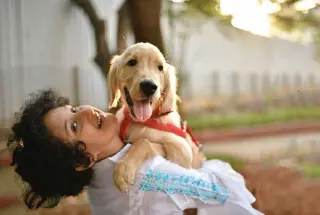 Pet Park